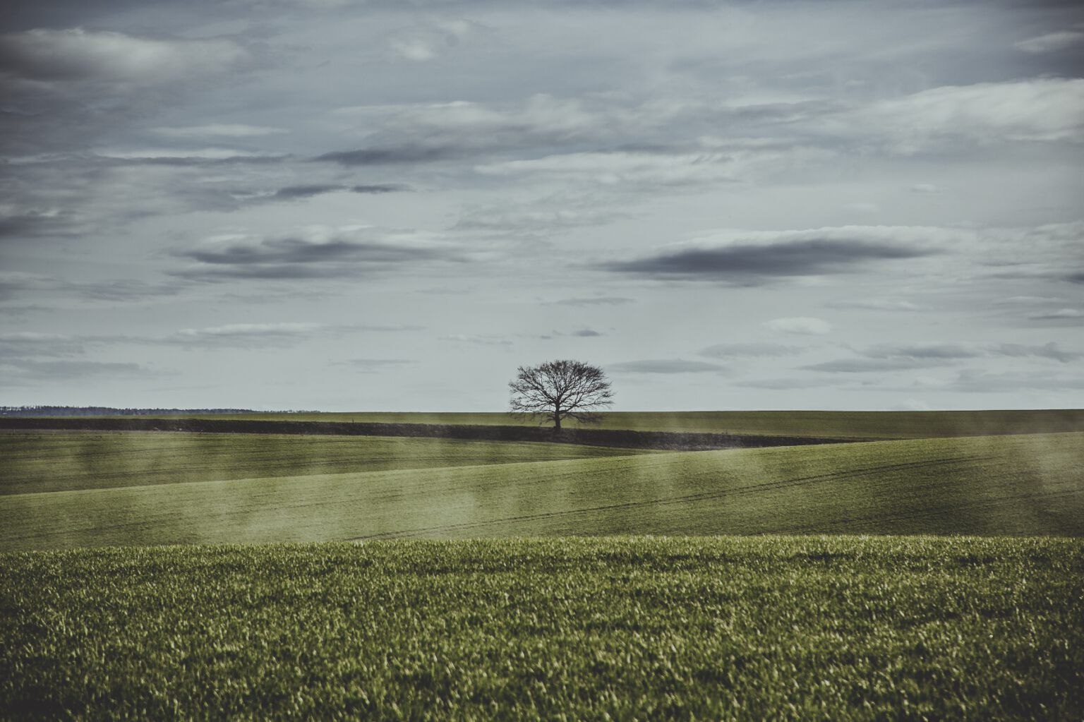 Fineart Photography by Dzoni Bagaric